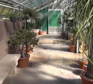 Gewächshaus für Wüstenpflanzen - Berggarten