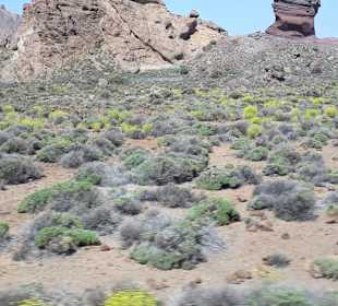Teide Nationalpark