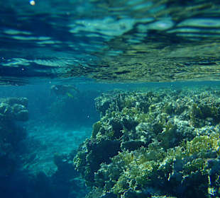 W korytarzu raf - cudownie