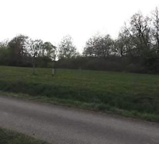 Lehrpfad Bäume des Jahres