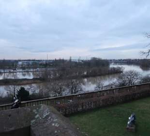 Aussicht vom Schloss auf den Fluss