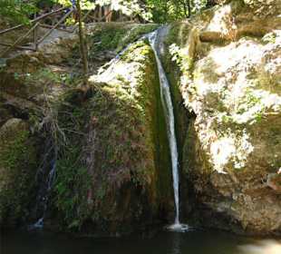 Ausflug zum Schmetterlingstal