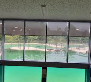 Seehundstation Norddeich in Norden,