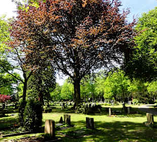 Spaziergang über den Friedhof Riensberg