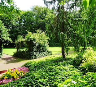 Hochsommer im Kurpark Bruchhausen-Vilsen