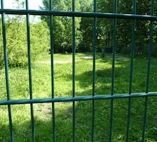 Schwarzhalskranich Anlage