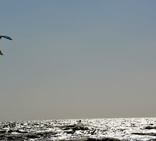 Kitesurfen