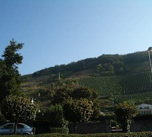 Blick auf den Aufstieg in die Weinberge