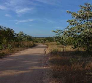 Krüger Nationalpark