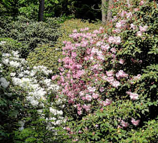 Impressionen vom Rundweg durch den Park