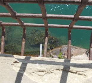 Widok z zamku na jezioro