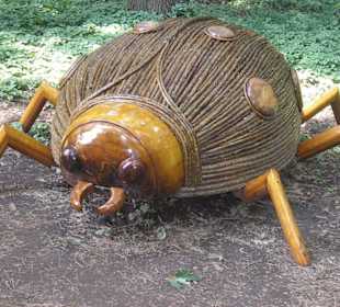 "Ladybug " Marienkäfer