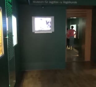 Jagdtier + Vogelkunde