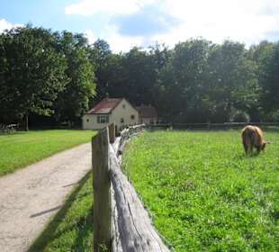 Das kleine Dorf mit Weide.