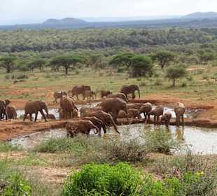 Julius Tact / JT Safaris 