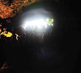 Zurück ans Tageslicht