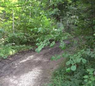 Hochgehnießen - Premiumspazierwanderweg