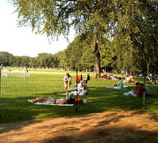 Green areas at Central Park