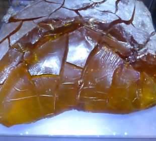 Im Bernsteinmuseum: großer Rohbernstein