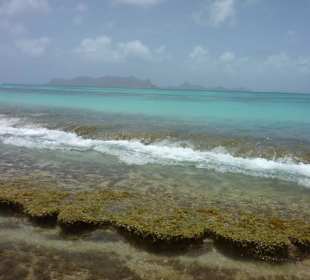 Petit Carenage / Carriacou, Grenada
