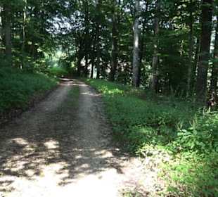 Premiumwanderweg "hochgesprudelt"