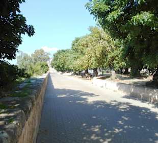 Parc de la Mar