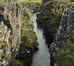Schlucht bei Pinvellir