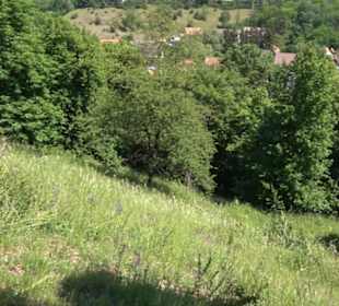 Kochhartgraben und Ammertalhänge (Reusten)