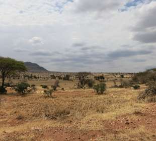 Tsavo West