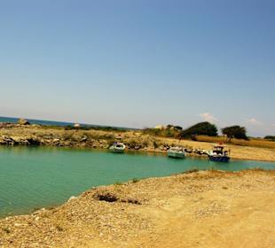 Seht euch diese Natur an...