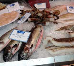 Rundgang durch die Markthalle am Carlsplatz