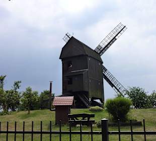 Mühle auf der Werder Insel