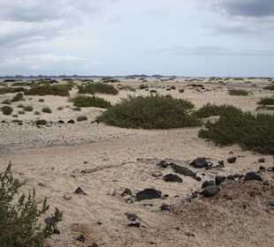 Naturpark bei Corralejo