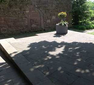 Schlossruine Wildberg