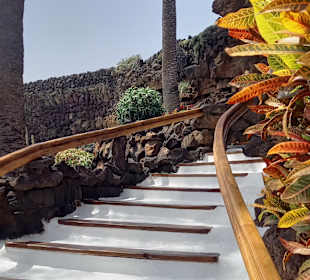 Jameos del Agua Cesar Manrique
