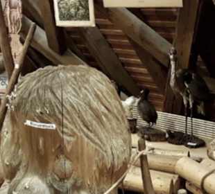 Heimatmuseum Dornstetten