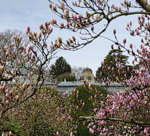 Wilhelma Stuttgart