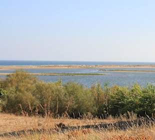 Blick in das Naturschutzgebiet