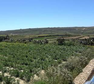 Altstadt San Lawrenz 