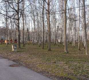 Umgebung Kristyna See