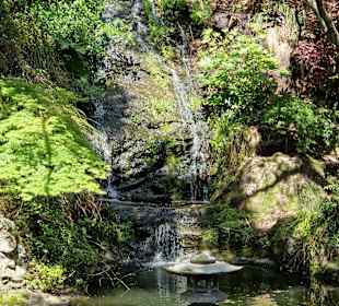 Botanischer Garten Wellington