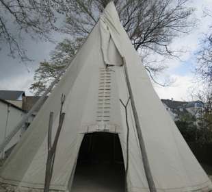 Tipi