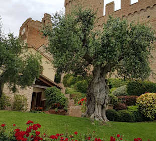 Gradara vom Parkplatz aus