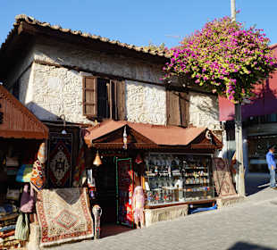 Minihaus mit blühendem Strauch