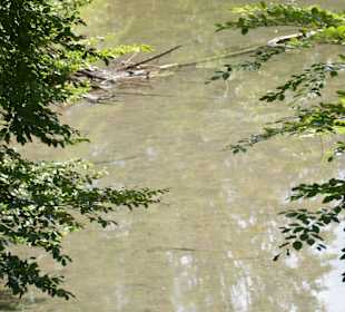 Natur pur