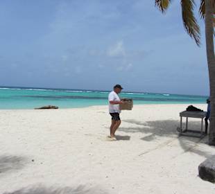 Moppel beim Vormittagssnack