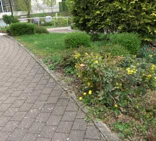 Katholische Kirche St. Benedikt Neuler