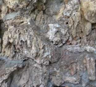 Friedhof Eutingen im Gäu