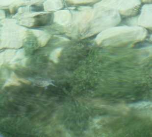 Озеро Курнас 