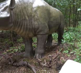 Dinosaurier Museum Altmühltal